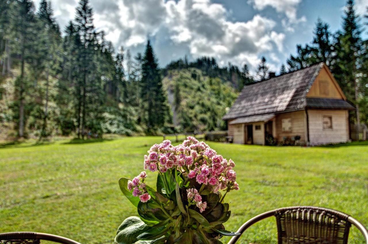 Jedroskowe Chatki วีตุฟ ภายนอก รูปภาพ