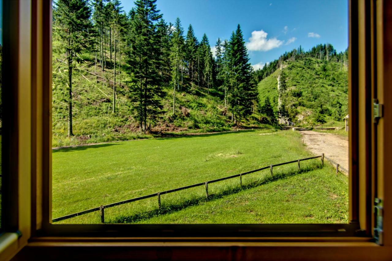 Jedroskowe Chatki วีตุฟ ภายนอก รูปภาพ